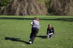 IMG_3526