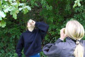 IMG_8345
